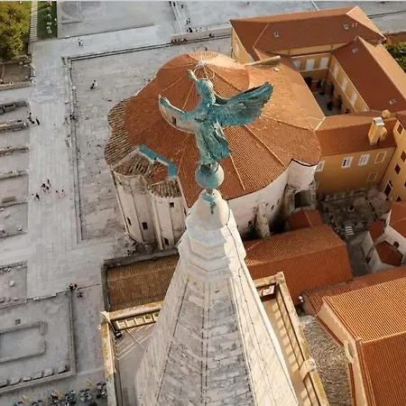 Maya דירה